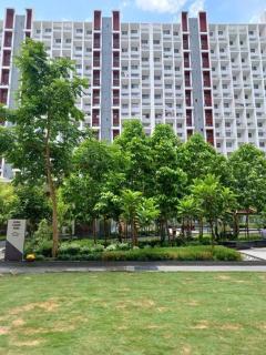 Elements Hinjewadi ph1 2bhk - 2