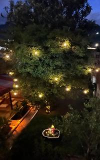 Magic Jardín Hostel - Patio, Balcony & Rooftop - 5