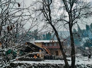 Rastafardreams 100 years old , Riverside Heritage Mudhouse, Farmstay in an apple orchard, Hostel & camping - 4