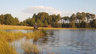 Greystone Lodge - Dullstroom - 1