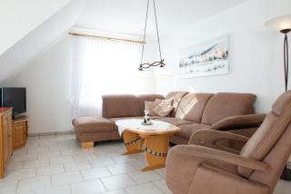 Rotbuche 2 - Norddeich - 6