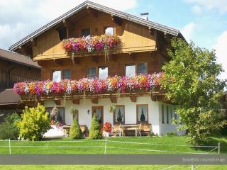 Apartment at the Achensee with terrace - Achensee - 4