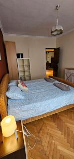 Elegant and cozy apartment - Sofia - 4