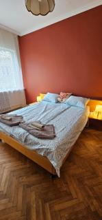 Elegant and cozy apartment - 2