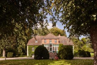 Veilchen - - 5