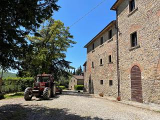 Cottage La Stefania near Anghiari in beautiful setting - Misciano - 3