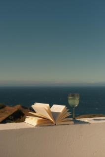 Casa Cactus - heated pool and only 5 boutique apartments - Icod de los Vinos - 1