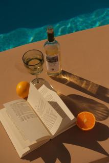 Casa Cactus - heated pool and only 5 boutique apartments - Icod de los Vinos - 5