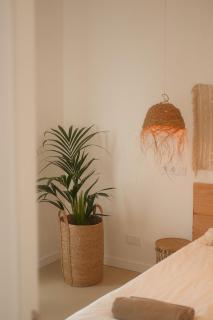 Casa Cactus - heated pool and only 5 boutique apartments - Icod de los Vinos - 2