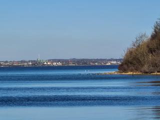 Ostseetraum - Quern - 9