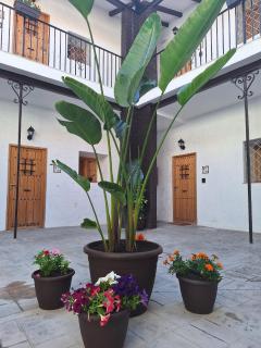 Suite San Mateos 15 - Jerez de la Frontera - 7