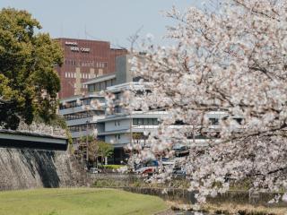 Kumamoto Hotel Castle - 6