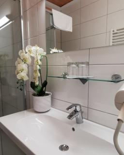 Hotel Am Greiner - 1