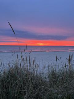 Bellevue Nr. 14 - Scharbeutz - 4