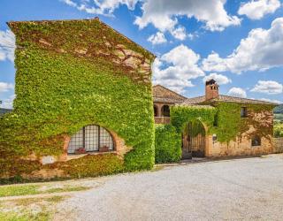 Agriturismo Tenuta il Tasso - Rapolano Terme - 8