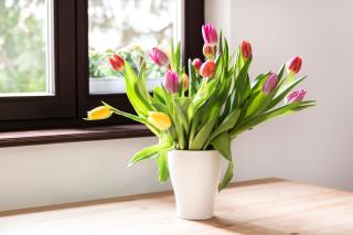 Victus Apartamenty, Villa Abrahama - Sopot - 6