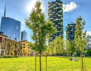 Castillia 22 - Terrazza sul Bosco Verticale - Mailand - 3