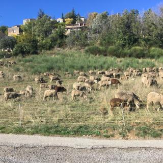 Place du village Haute Provence - 1