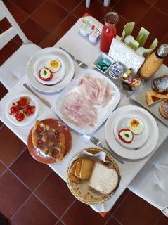 Villa Apollonia B&B - Monopoli - 9