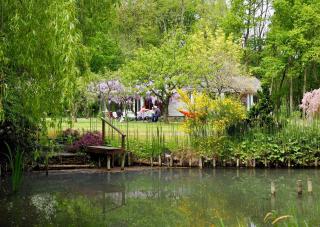 Le bois des Mottouses - 1