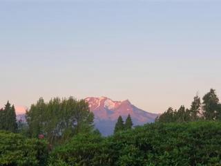 Maungatapu Studio 1 - Ohakune Holiday Home - Ohakune - 3