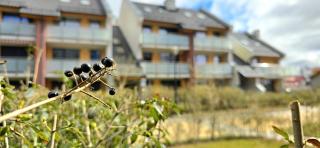 Apartament Solaris Jantar by TriApart - Jantar - 9
