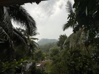 JOHNS VILLAGE Resorts - Vallikavungal - 5
