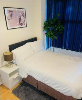 The Baravaggio by Nestura - Leicester - 7