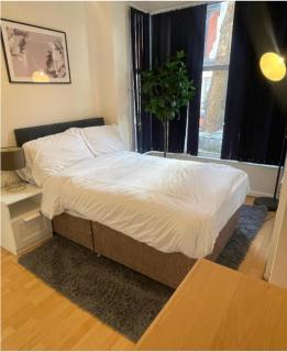 The Baravaggio by Nestura - Leicester - 6