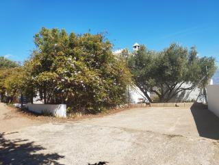 Casa Natura - Almuñécar - 5