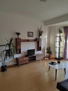 City center Dorcol free parking - Belgrado - 1