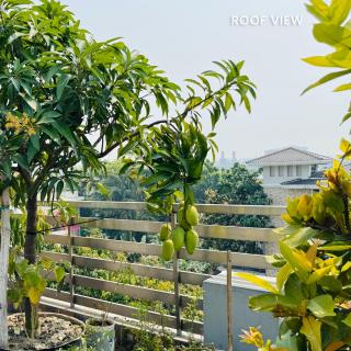 Turag Dhaka Venue - Dhaka - 4