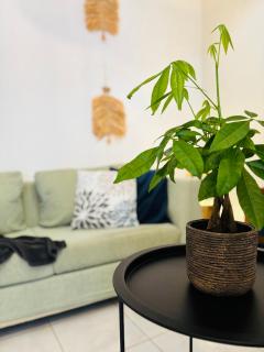 Sofitaki - Argostoli - 4