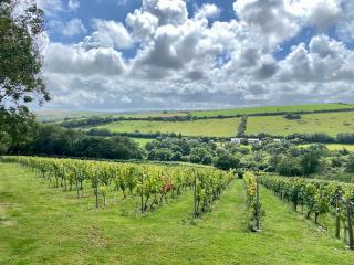 Riverside cottage on private wildlife estate 2-bed - 1