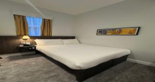 Best Western Kensington Olympia Hotel - Londra - 6