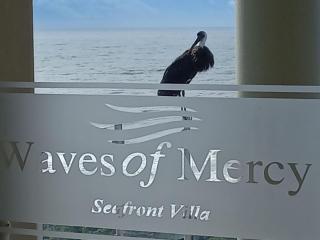 Waves of Mercy - Trafalgar - 0