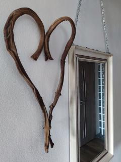 Apartmán Červenka - Hartmanice - 2