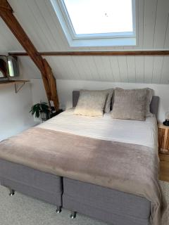 B&B De Vrijbuiter - De Cocksdorp - 5