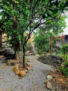 Le Tropical Lodge - 4