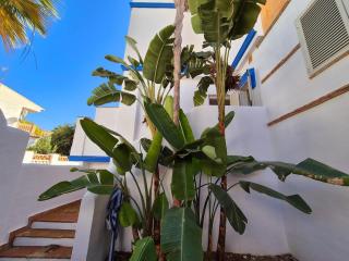 La Casita Azul Close to the beach - Almuñécar - 3