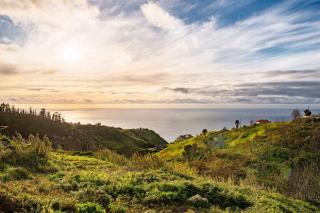 With pool and sea view - Vila da Ribeira da Vaca - Calheta - 7