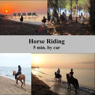 Professionally Maintained, Spacious New Residences Just Minutes from Lara Beach & Kundu Entertainment Zone - 2