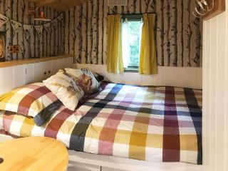 Shepherd's Hut - Dorchester - 5