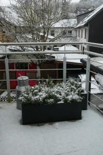 Trappe's Maar-Häuschen - Ulmen - 9