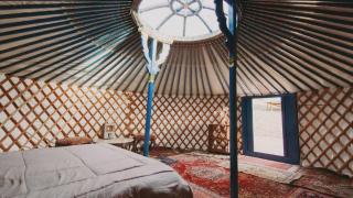 Cosy yurt at a nature retreat in Sequoia N Forest - Miramonte - 4