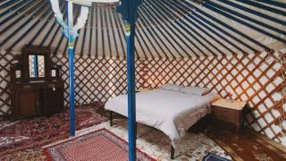 Glamping yurt at nature retreat in Sequoia NForest - Miramonte - 3