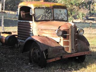 The Tin Shack - Mayanup - 6