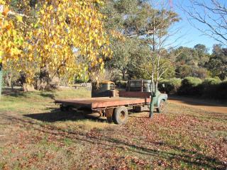 The Tin Shack - Mayanup - 1