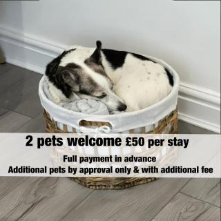 Bramble Cottage In The Wonderful Rhondda Valley by StayStaycations - Llwyn-y-pia - 1