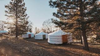 Glamping yurt at a nature retreat near Sequoia - Miramonte - 9